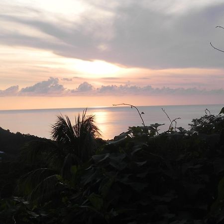 Villa MIELéCAJOU, entre mer et montagne Deshaies Extérieur photo