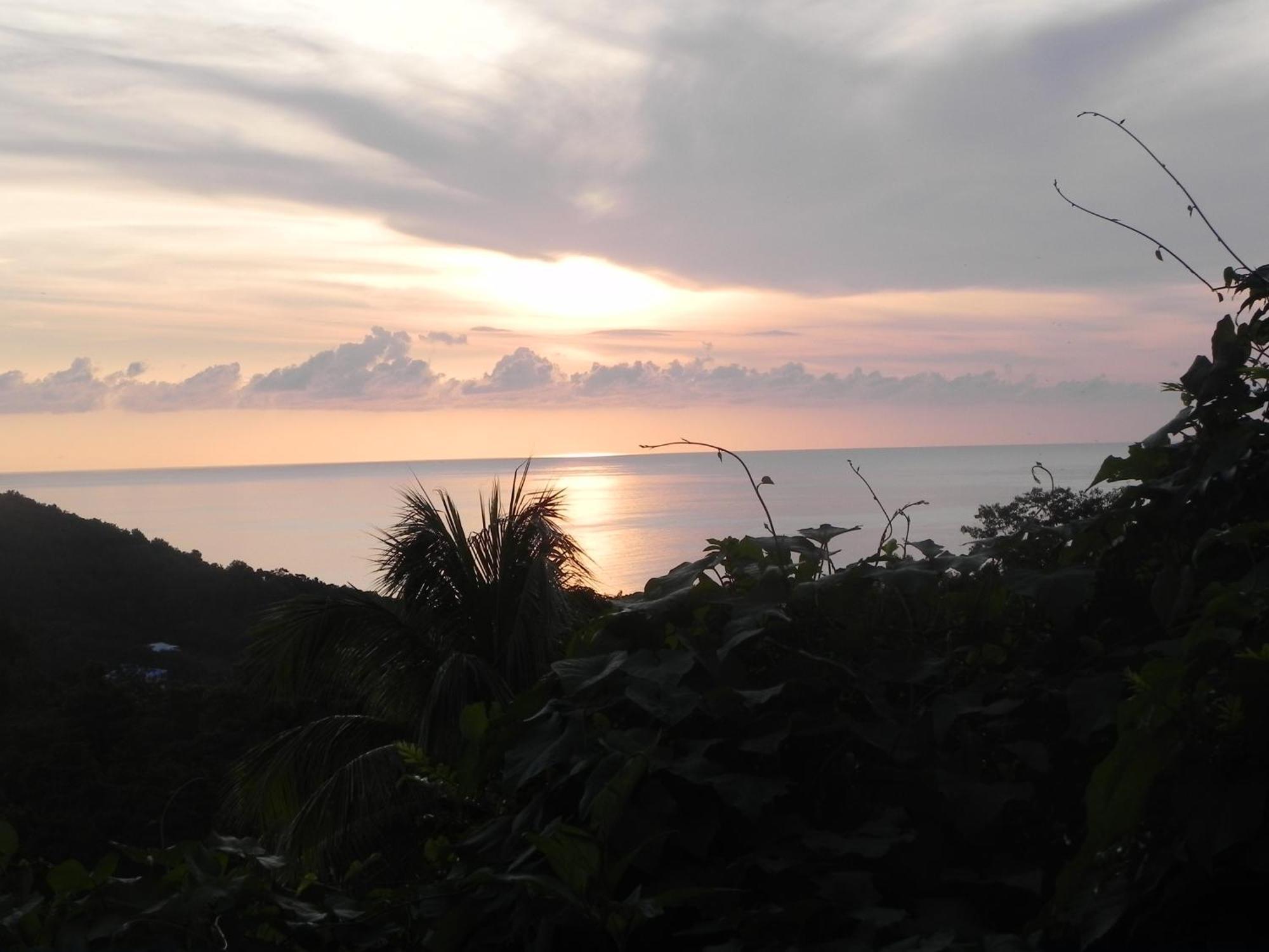 Villa MIELéCAJOU, entre mer et montagne Deshaies Extérieur photo