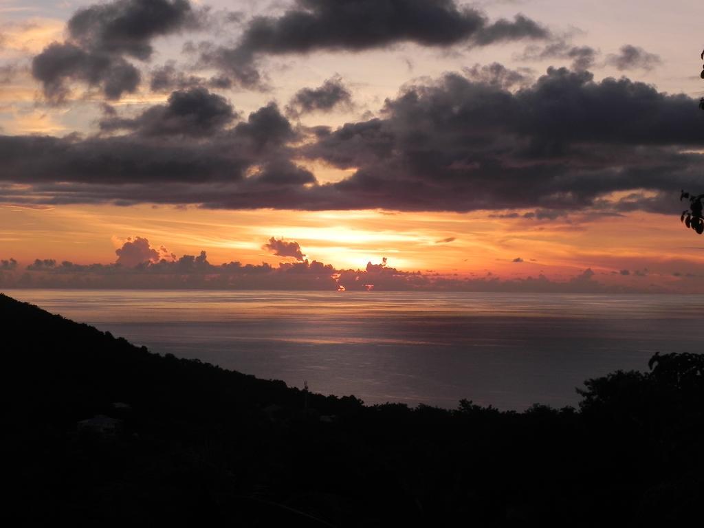 Villa MIELéCAJOU, entre mer et montagne Deshaies Extérieur photo