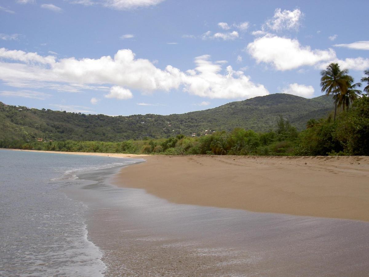 Villa MIELéCAJOU, entre mer et montagne Deshaies Extérieur photo
